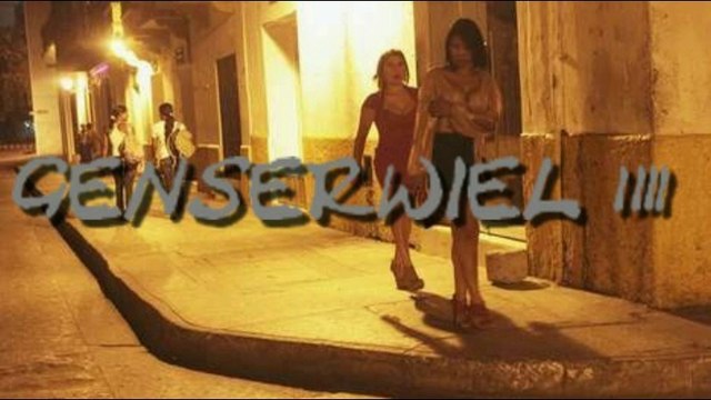 GENSERWIEL 13 OUDE VROUW LEEF T 1 KEER COMP DJ plaat