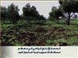 انحسار الإنتاج الزراعي بسوريا جراء استمرار الحرب