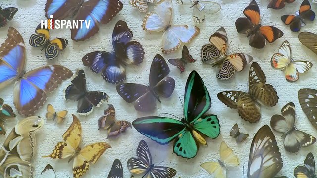 Irán - 1. Tesoro nacional de datos biológicos 2. Latinos en Irán 3. El tiro 4. Aspectos de Irán: Cueva de sal