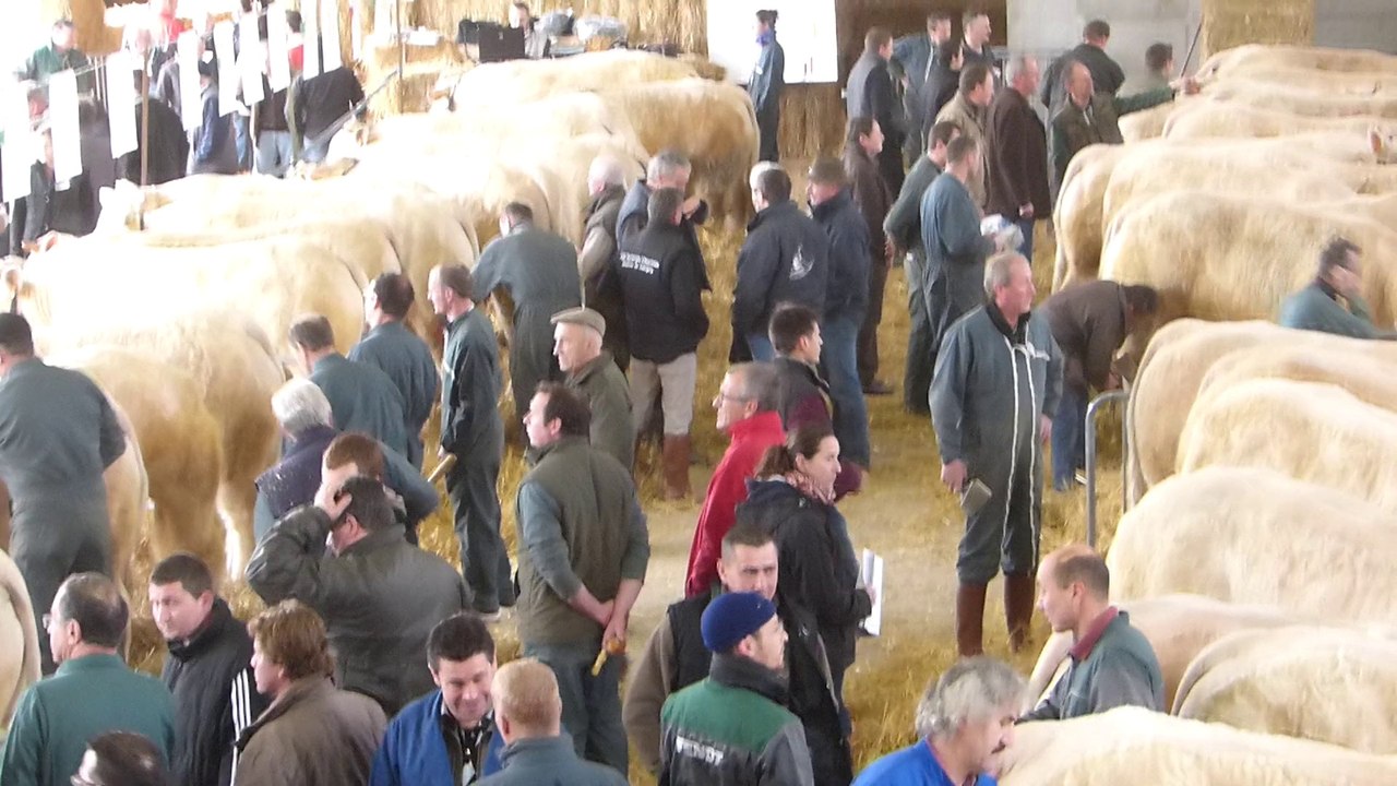 Vente aux enchères 2014 - Préparatifs de la vente