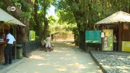 Species Loss on Mauritius - What's left of paradise | Global 3000