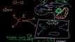 FSc Chemistry Book2, CH 8, LEC 16: Hydrogenation & Halogenation - Addition Reactions of Alkenes (Part 1)