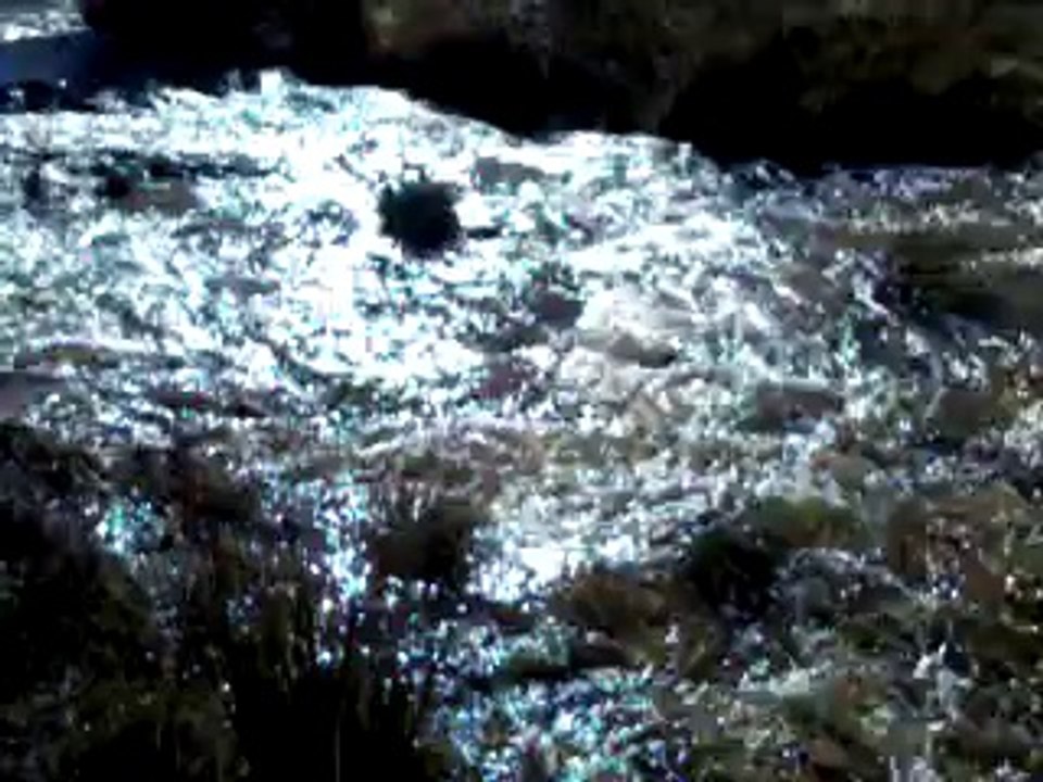 Instant nature!!