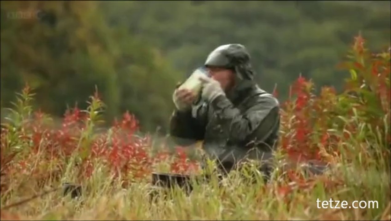 Natural World -  Grizzlies of Alaska - Awesome Place