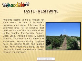 Top Reasons to Travel to Adelaide