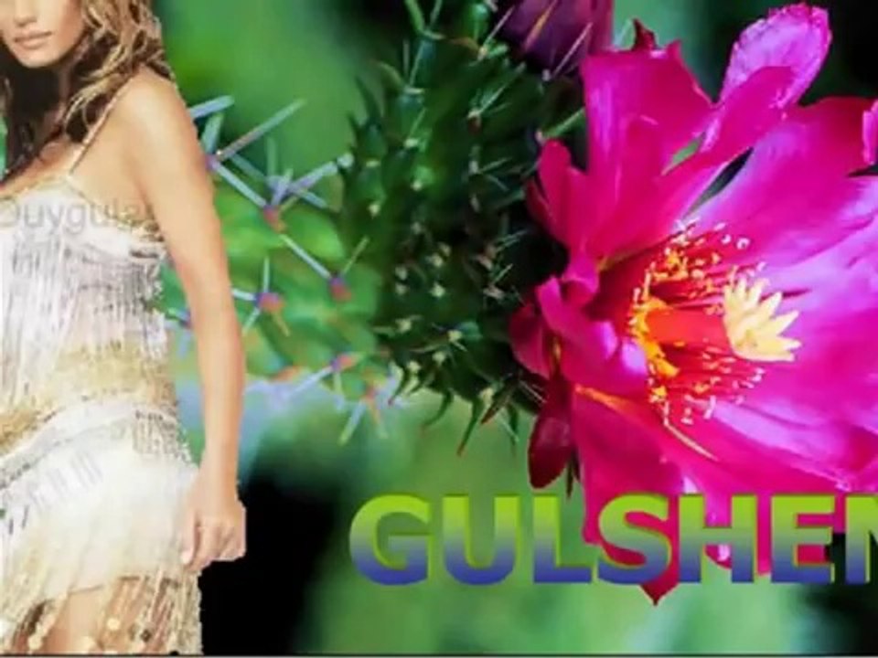 Gülşen - Su gibi geçerdi zaman 2007