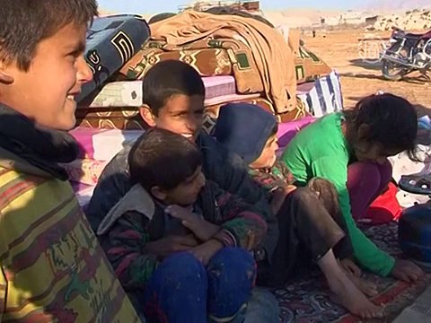 Анджелина Джоли приветствует резолюцию по Сирии