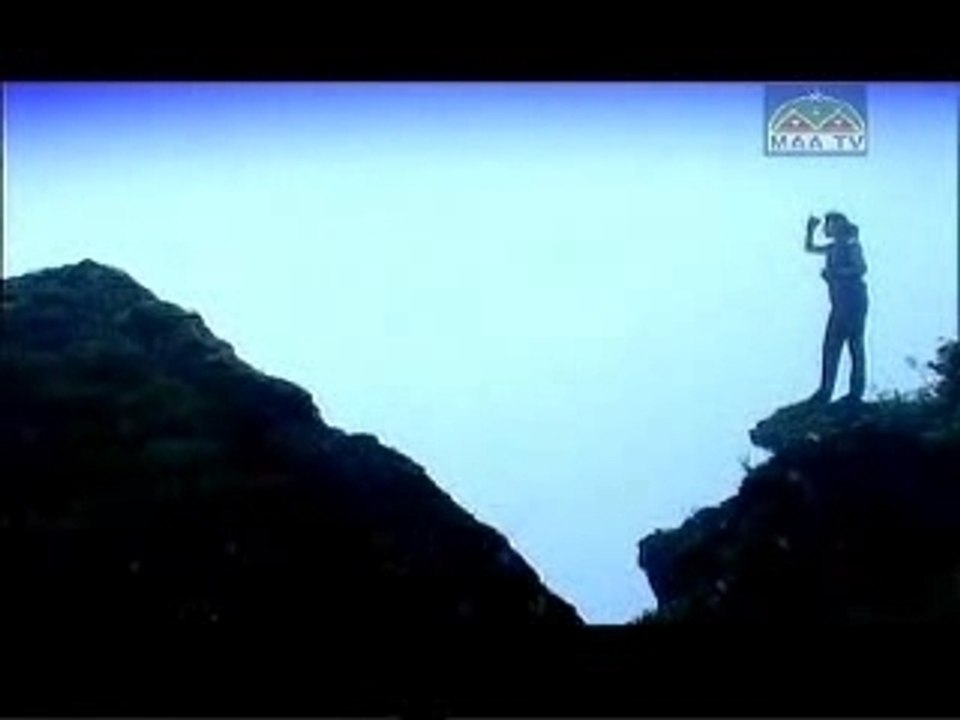 Vihari