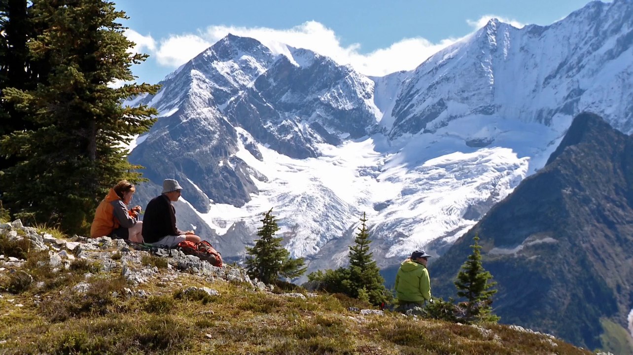 La vie sauvage du Canada