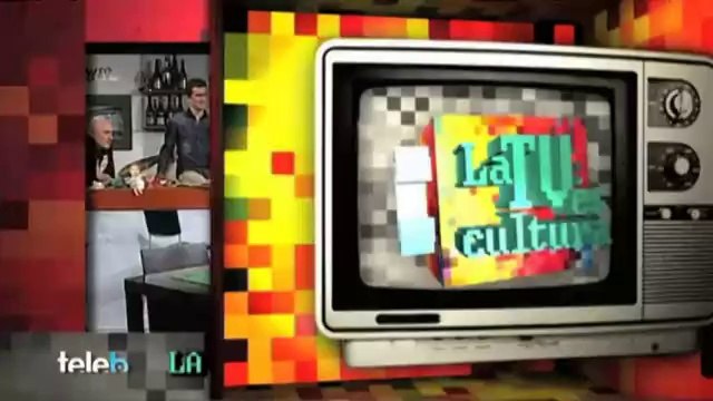 TV3 - Alguna pregunta més? APM - La televisió és cultura , amb Josep Maria Mainat