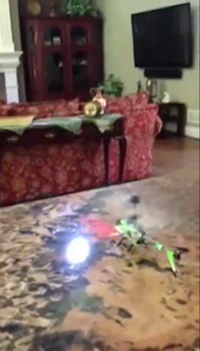 Hund vs. Spielzeug Hubschrauber