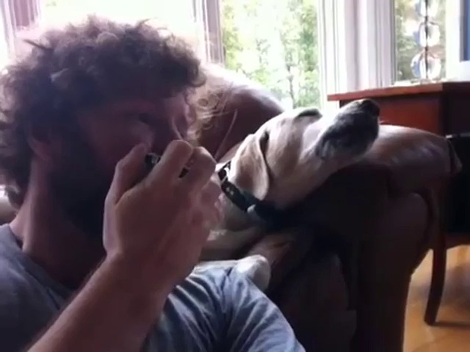 Hund und Herrchen singen Blues