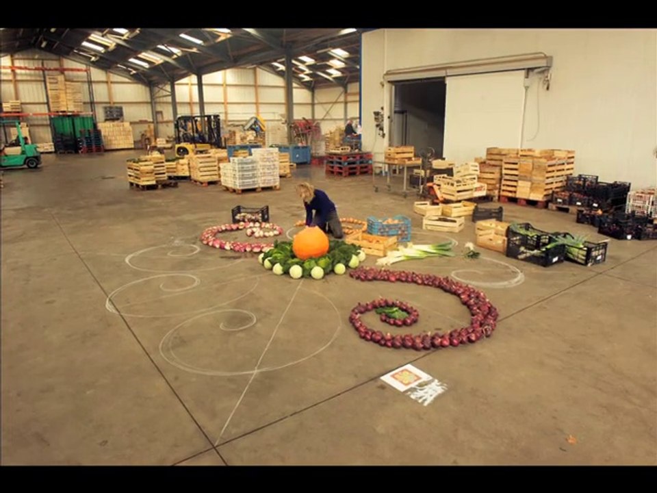 Mandala de légumes géant au GAEC des Etangs