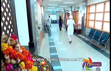 Mooo Mud - 01 - 25/02/2014