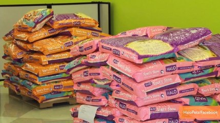 2014 Oscar Swag Bag Includes 10,000 Meals for Shelter Animals