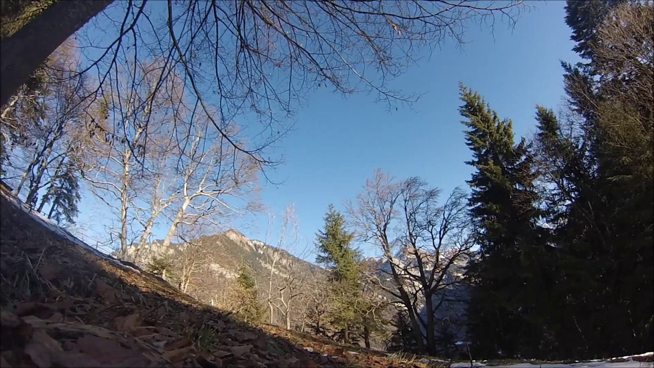 Wingsuit Enthusiast Tests New Flight Paths in Switzerland