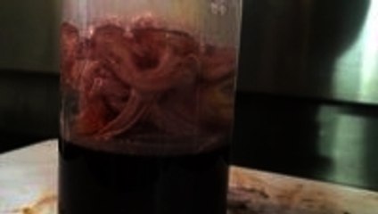 This is why you should study chemistry