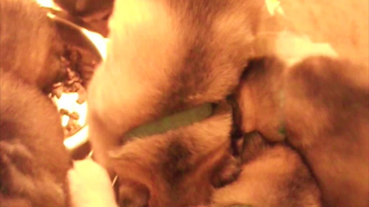 4éme sem. des ty laouen