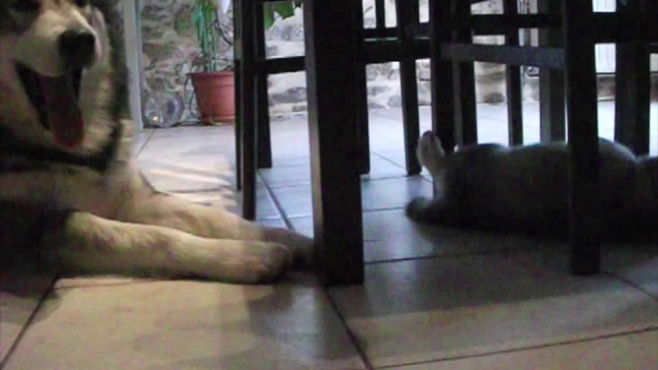 5 eme sem. des ty laouen