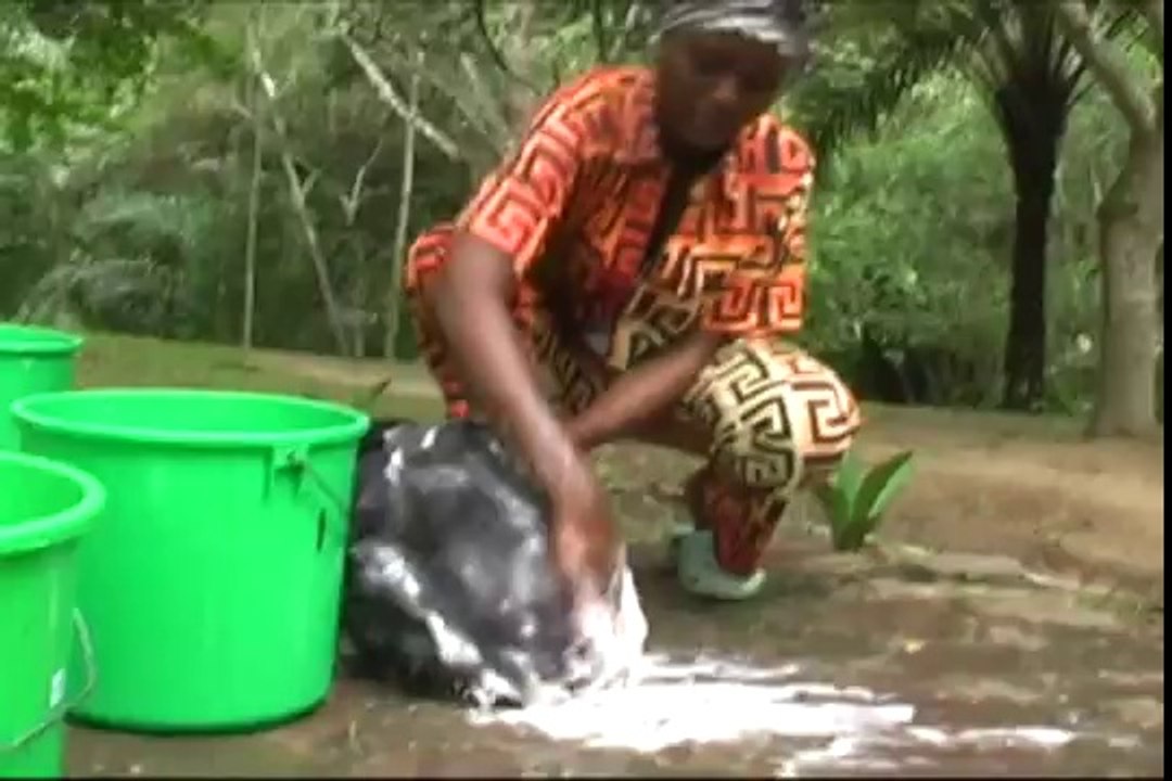 Des bonobos à Science et Vie junior - Episode 5