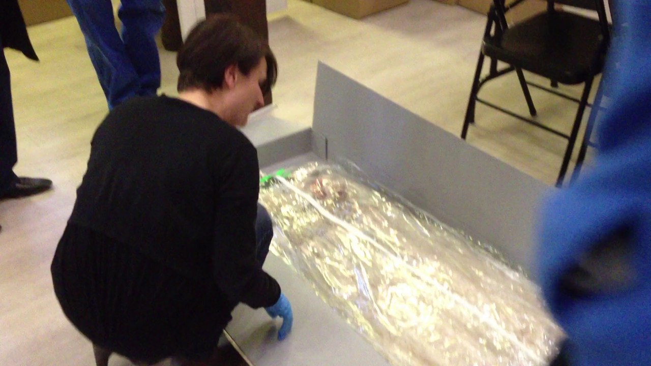 Caudry: quand le personnel du musée des dentelles découvre les robes de "Gatsby"...