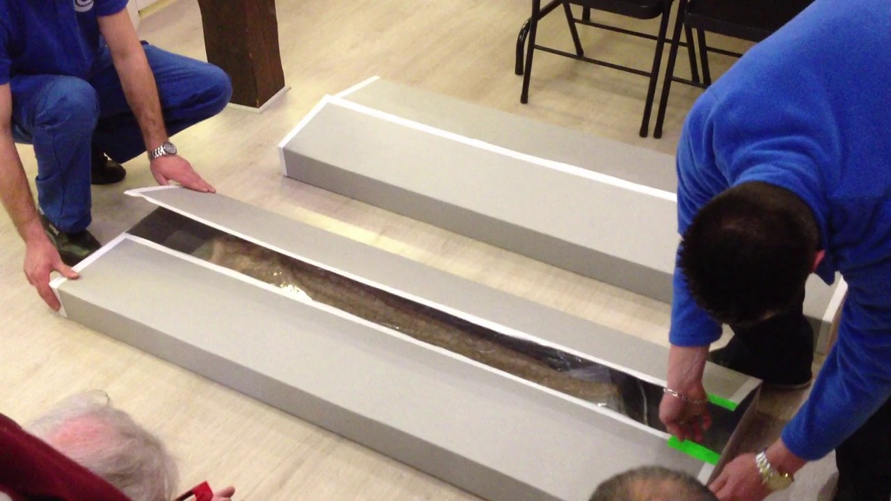 Caudry: le musée caudrésien des dentelles et broderies déballe la robe créée par Prada pour "Gatsby le magnifique"