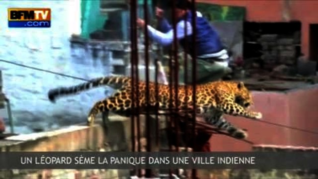 Zapping de l’Actualité - 25/02 - M. Valls et P. Lellouche « s’emmerdent » mutuellement, tollé à l’Assemblée