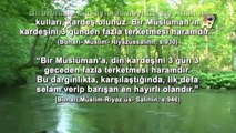 Serap Akıncıoğlu ile Nur'a Yöneliş - 46. Bölüm (Peygamber Efendimiz (sav)'in güzel ahlakı - 3 )