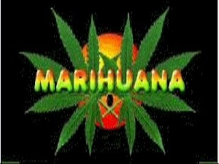 Tres Idiomas Del Worms