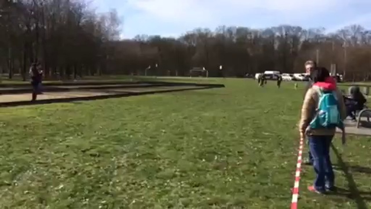 Arrivée Feïva canicross Chelles 2014