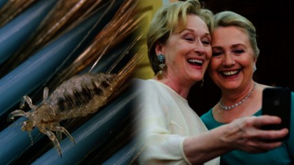 Expert: Selfies Causing Teen Head Lice Outbreak