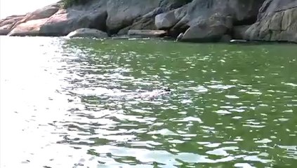 De volta das férias,Ronald Rios está pronto para o retorno do CQC