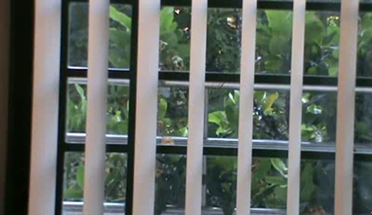 ALADDIN (From Disney Film 'Arabian Nights'). Guitar Solo- Arr. Thanh Nha