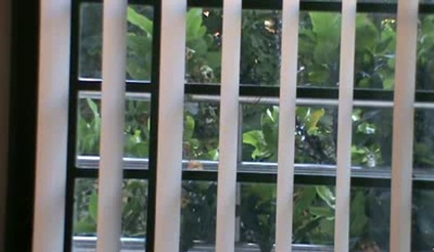 ALADDIN (From Disney Film 'Arabian Nights'). Guitar Solo- Arr. Thanh Nha