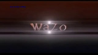 WAZO 1-1