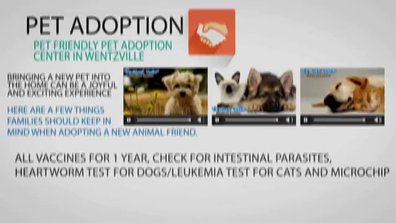 Animal Talk Medical Center - 24 hour emergency animal hospital