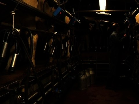 Prix du lait: les éleveurs inquiets pour les négociations – 26/02