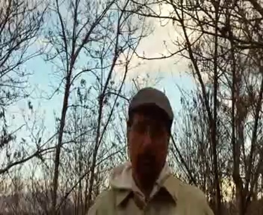 un saluto a gabriele paolini da alfredo iuliano