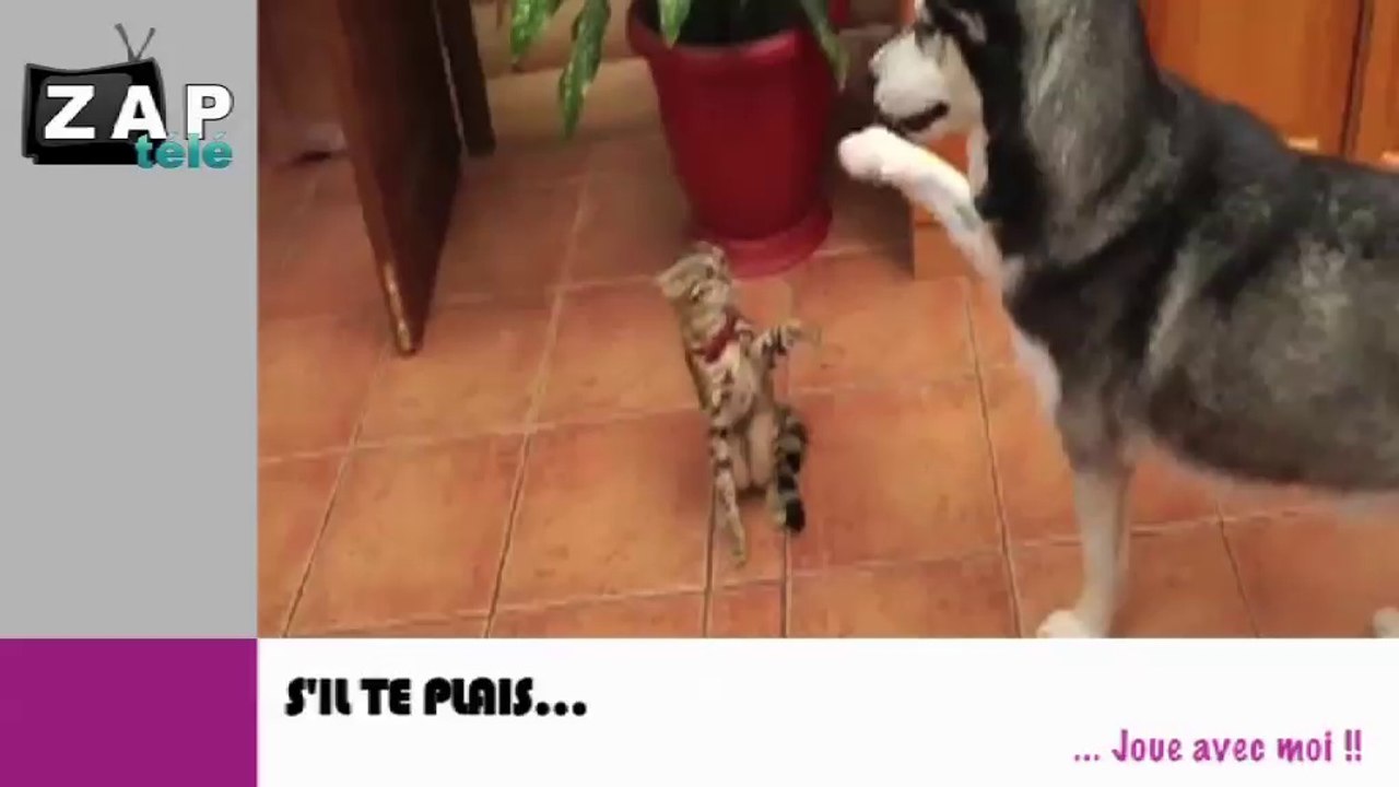 Zapping du net du 25 février 2014