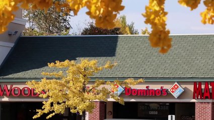 Man Complains to Domino's Pizza About Burns Received Making Love to Pizza