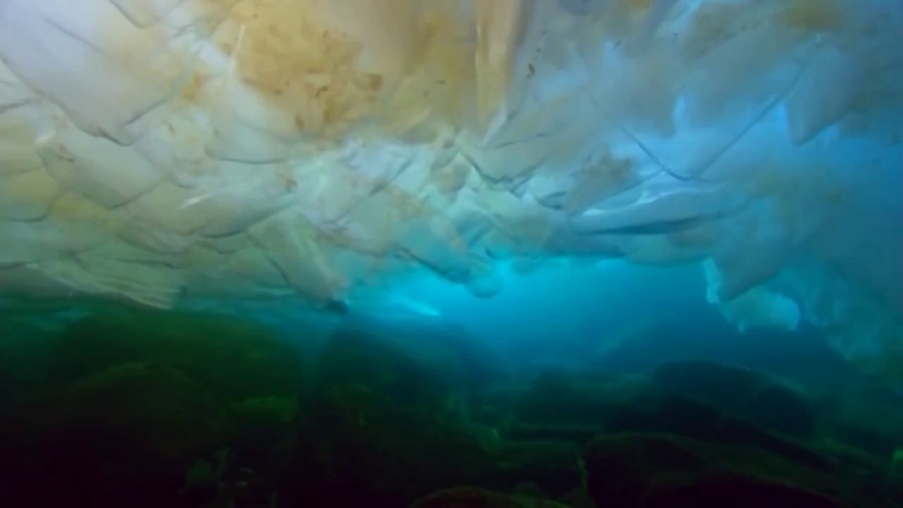 Grup Yeniçağ - Ya Hayy