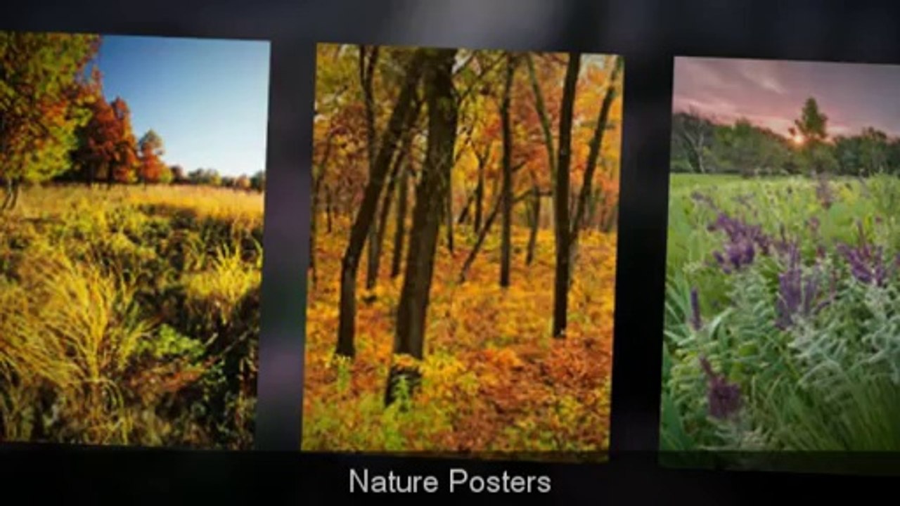 Photography galleries in Chicago