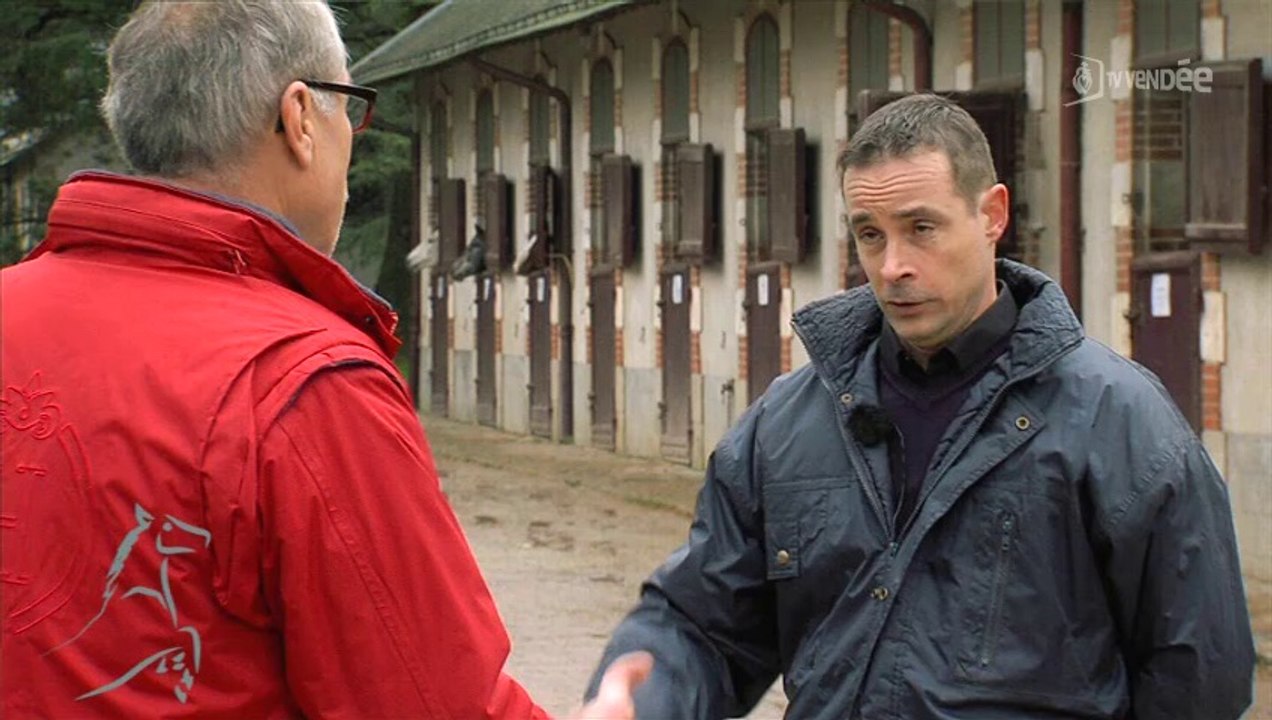 Cavalcades : Haras nationaux, conservatoire des races