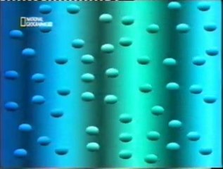 Cerebro: Percepcion del movimiento aparente