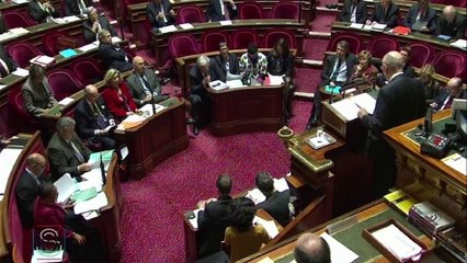 [Entretien] Centrafrique : le Sénat autorise la prolongation de l'intervention de l'armée française