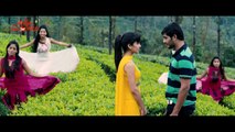 Manasunu Maaya Seyake Songs - Prematho Nenu Ninnu Song - Prince, Disha Pandey, Richa Panai
