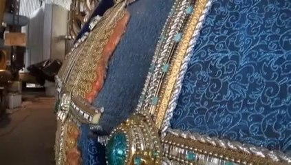 El carnaval de Brasil se tiñe de fútbol y agasaja a Ronaldo