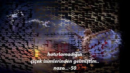 Coupable - Jean Francois Michael nazo50