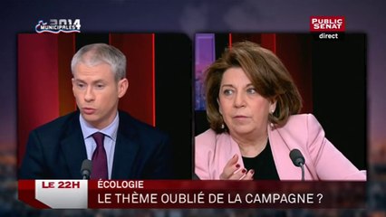 Le duel des municipales - Ecologie, le thème oublié de la campagne ?
