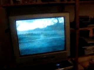 Lancer de vaches, Wii, Rayman